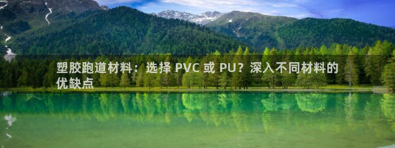 尊龙d88现金旧版本：塑胶跑道材料：选择 PVC 或 PU？深入不同材料的
优缺点