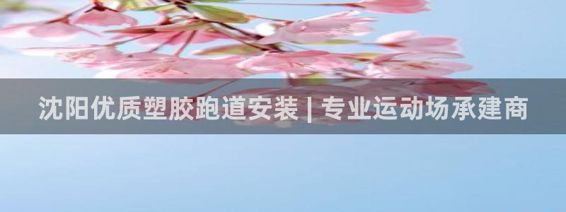 尊龙信息科技有限公司：沈阳优质塑胶跑道安装 | 专业