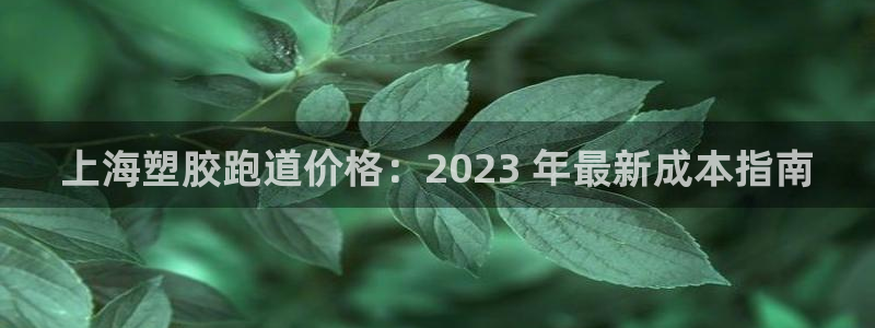 尊龙凯时人生就是搏官方网站：上海塑胶跑道价格：2023 年最新成本指南