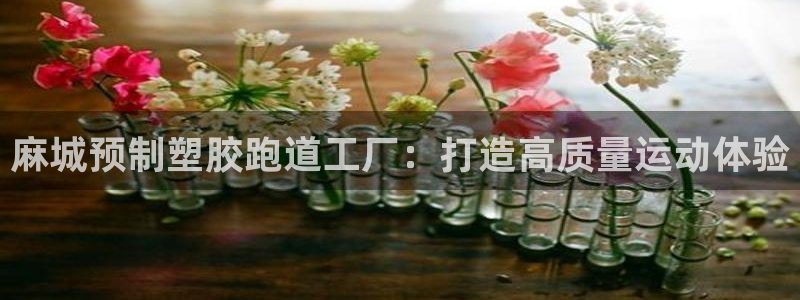 尊龙凯时凯发官网