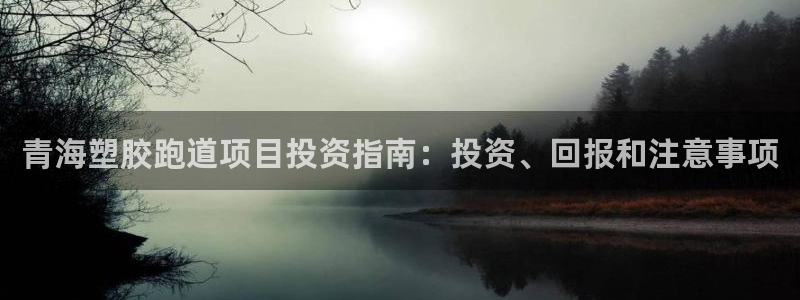 凯时最新官方APP下载：青海塑胶跑道项目投资指南：投资、回报和注意事项