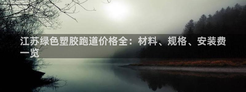 agz6尊龙凯时集团：江苏绿色塑胶跑道价格全：材料、规格、安装费
一览