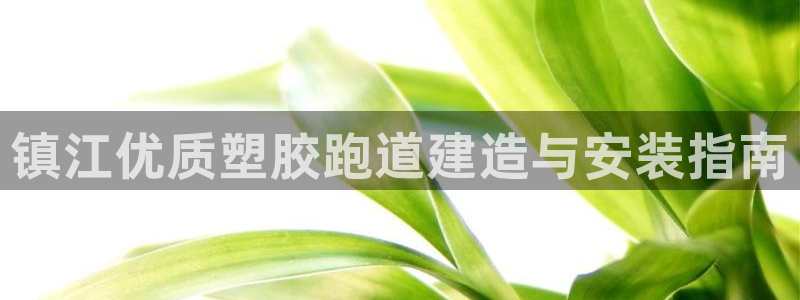 尊龙d88皆选ag发财网：镇江优质塑胶跑道建造与安装指南