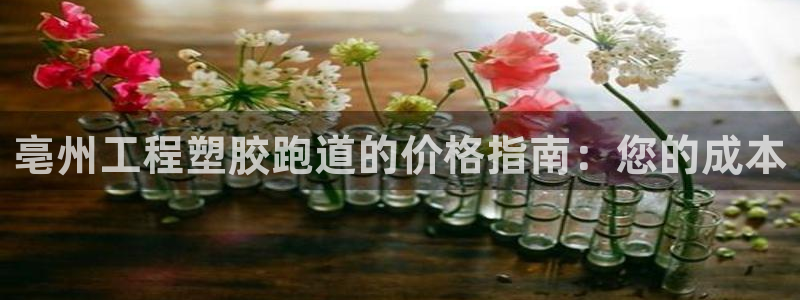 尊龙人生就是博网站：亳州工程塑胶跑道的价格指南：您的