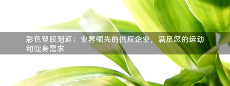 Ag尊龙平台：彩色塑胶跑道：业界领先的供应企业，满足您的运动
和健身需求