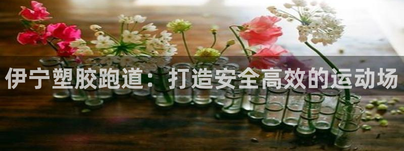 尊龙凯时最新平台登陆：伊宁塑胶跑道：打造安全高效的运动场