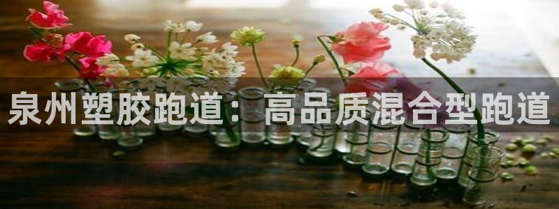 尊龙凯时几百万怎么下款：泉州塑胶跑道：高品质混合型跑