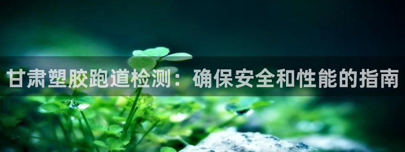 尊龙凯时登入首页：甘肃塑胶跑道检测：确保安全和性能的指南