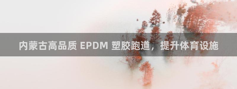 尊龙人生就是博：内蒙古高品质 EPDM 塑胶跑道，提升体育设施